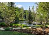 29700 Sunset Trl - Photo 3