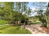 29700 Sunset Trl - Photo 39