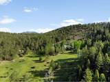 29700 Sunset Trl - Photo 42