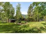 29700 Sunset Trl - Photo 43