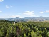 29700 Sunset Trl - Photo 46
