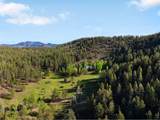 29700 Sunset Trl - Photo 5