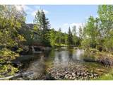 29700 Sunset Trl - Photo 6