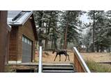 200 Rocky Knob Ln - Photo 38