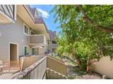 3120 Corona Trl - Photo 16