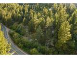 10763 Twin Spruce Rd - Photo 38
