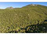 10763 Twin Spruce Rd - Photo 40