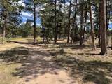 2215 Fox Acres Dr - Photo 16