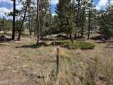 2215 Fox Acres Dr - Photo 18