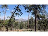 0 Old Camp Rd - Photo 1