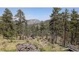 0 Old Camp Rd - Photo 10