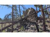 0 Old Camp Rd - Photo 11