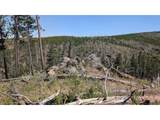 0 Old Camp Rd - Photo 15