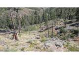 0 Old Camp Rd - Photo 16