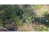 0 Old Camp Rd - Photo 17