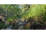0 Old Camp Rd - Photo 22