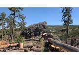 0 Old Camp Rd - Photo 25