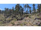 0 Old Camp Rd - Photo 26