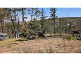 0 Old Camp Rd - Photo 32