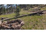 0 Old Camp Rd - Photo 35
