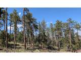 0 Old Camp Rd - Photo 37