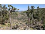 0 Old Camp Rd - Photo 38