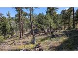 0 Old Camp Rd - Photo 39