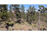0 Old Camp Rd - Photo 40