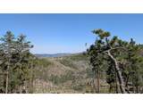 0 Old Camp Rd - Photo 41