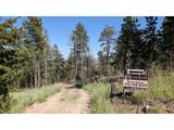 0 Old Camp Rd - Photo 43