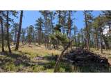 0 Old Camp Rd - Photo 6