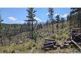 0 Old Camp Rd - Photo 7