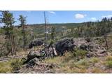 0 Old Camp Rd - Photo 8
