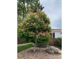 3255 20th St - Photo 20