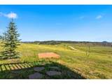 114 Bobcat Mountain Ct - Photo 23