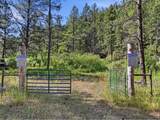  Spiritwood Ln - Photo 1