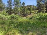  Spiritwood Ln - Photo 13