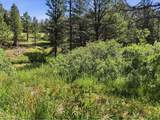  Spiritwood Ln - Photo 14