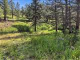  Spiritwood Ln - Photo 15