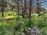  Spiritwood Ln - Photo 16