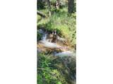  Spiritwood Ln - Photo 21