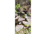 Spiritwood Ln - Photo 22