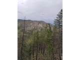  Spiritwood Ln - Photo 41
