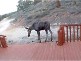 296 Caddo Rd - Photo 47
