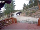 296 Caddo Rd - Photo 48