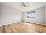 6896 Canosa St - Photo 19
