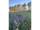 619 County Road 66E - Photo 16