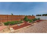 703 Cavern St - Photo 30