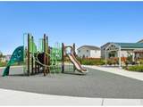 7332 Swan River St - Photo 32