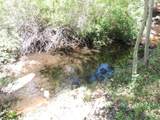 2300 Red Ashby Rd - Photo 29